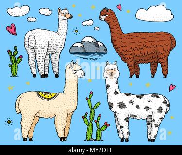 Ensemble d'Alpaga mignon lamas sauvages ou Cobourg sur l'arrière-plan de cactus et de montagne. Funny smiling animaux au Pérou pour les cartes, affiches, invitations, t-shirts. Les éléments dessinés à la main. Dessin gravé. Illustration de Vecteur