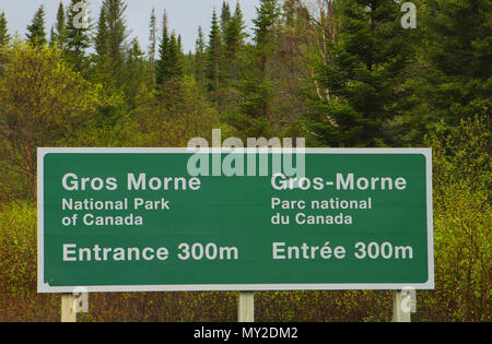 Au sud-est du parc national du Gros-Morne brut Brook Falls au crépuscule. Le parc national du Gros-Morne, à Terre-Neuve, Canada, Banque D'Images