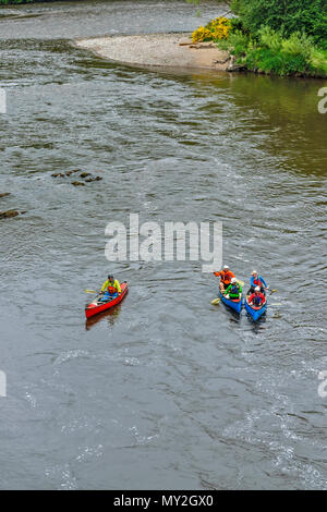 Rivière SPEY TAMDHU ECOSSE Canoe Kayak Canoë trois canots UN ROUGE BLEU AVEC DEUX PERSONNES SE DIRIGEANT VERS LA RIVIÈRE Banque D'Images