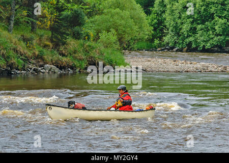 Rivière SPEY TAMDHU ECOSSE CANOÉISTE CANOE RIVER RAPIDS CRÈME UNIQUE CANOË AVEC UNE PERSONNE ET DE CHIEN Banque D'Images