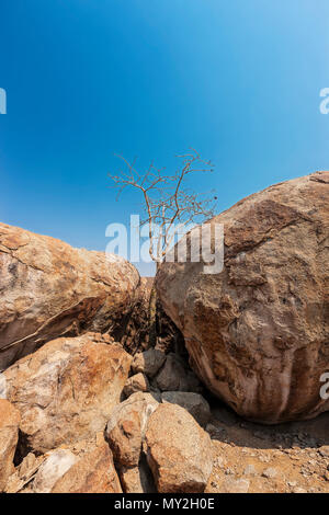 Des pierres dans le géant millénaire Iona parc naturel. L'Angola. Cunene. Banque D'Images