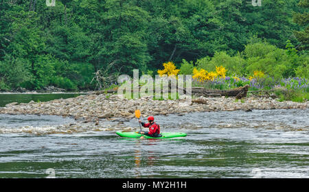 Rivière SPEY TAMDHU ECOSSE Canoë Kayak Canoë kayak RAPIDES DE LA RIVIÈRE ROUGE AVEC UNE PERSONNE Banque D'Images