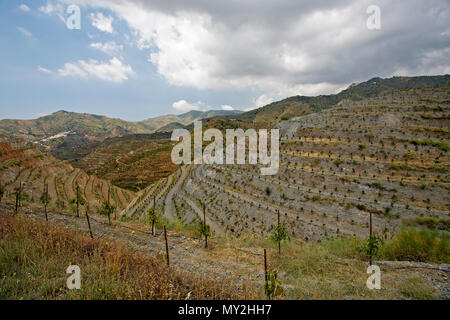 Le terrassement sur une ferme de colline dans Andalicia, Costa del Sol, Espagne. Banque D'Images