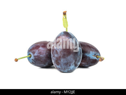 Prunes fraîches trois gros plan sur fond blanc Banque D'Images