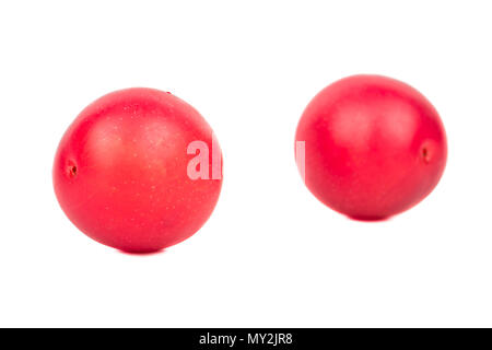 Deux prunes cerise rouge isolé sur fond blanc Banque D'Images