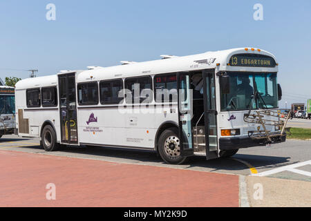 Un itinéraire de bus 13 attend de s'écarter de Ocean Park à Oak Bluffs, Massachusetts dirigé pour Edgartown sur Martha's Vineyard. Banque D'Images