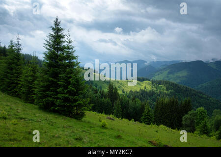 Paysage d'été pittoresque en journée ensoleillée Banque D'Images