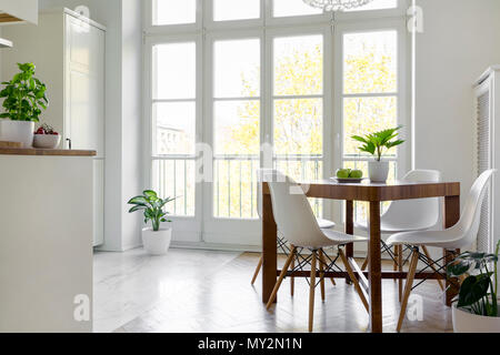 Chaises blanches à table en bois avec plante en intérieur salle à manger lumineuse avec fenêtre. Photo réelle Banque D'Images