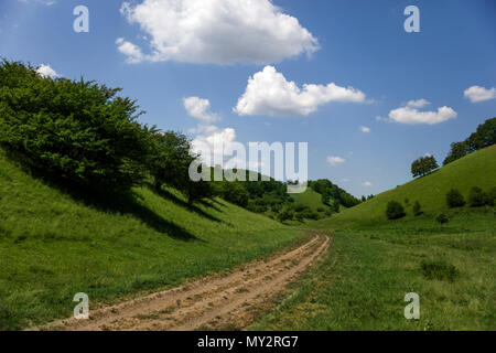 Zagajica hills en Serbie, beau paysage à un jour d'été Banque D'Images