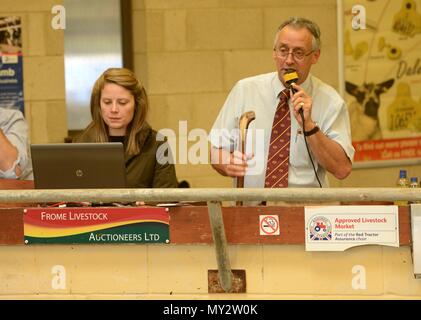 Les commissaires-priseurs qui sont l'élevage Frome célébrer 25e anniversaire de l'adoption d'Sanderwick 15/07/2015 Banque D'Images