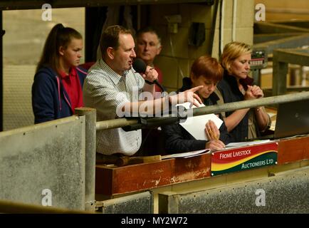 Les commissaires-priseurs qui sont l'élevage Frome célébrer 25e anniversaire de l'adoption d'Sanderwick 15/07/2015 Banque D'Images