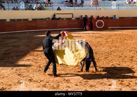 La tauromachie Praça de Toiros de Albufeira, Portugal Banque D'Images