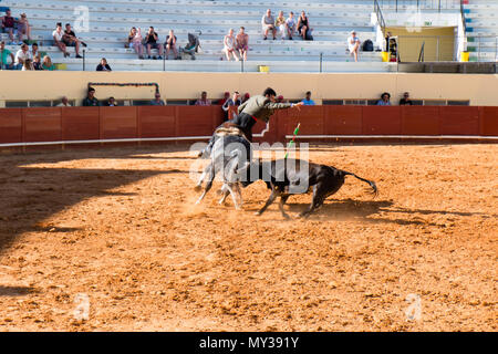 La tauromachie Praça de Toiros de Albufeira, Portugal Banque D'Images