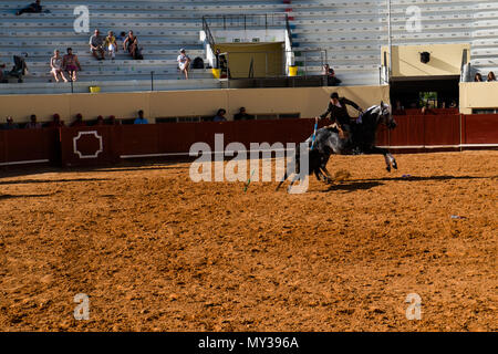 La tauromachie Praça de Toiros de Albufeira, Portugal Banque D'Images