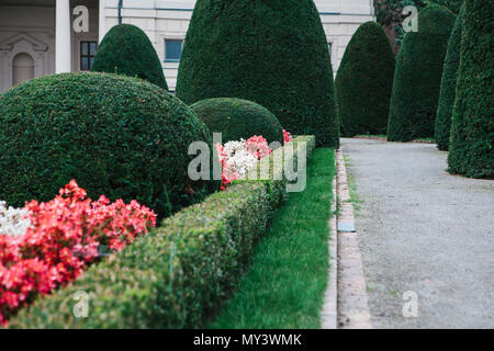 Bien entretenu confortable Parc ou jardin avec plantes et fleurs à Prague en République Tchèque Banque D'Images