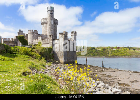 Château de BlackRock à Cork, Irlande Banque D'Images