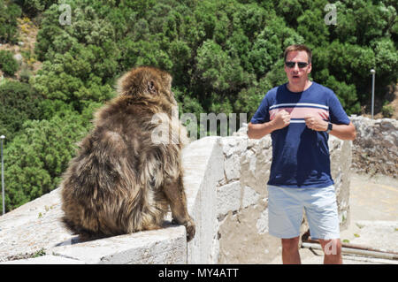 Prendre une photo touristique avec un singe à la barbarie haut de Windmill Hill à Gibraltar Banque D'Images