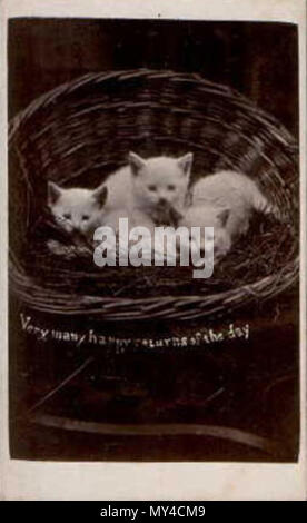 . Anglais : blanc trois chatons dans un panier, une carte de 'The Brighton Cats' série, photographié par Harry à son pointeur Bloomsbury Place studio à Brighton. La photographie porte le message d'accueil "très bon anniversaire du jour'. Années 1870. Harry Pointer (1822-1889) 89 BTNPointerHappyReturns Banque D'Images