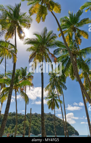 La baie de Marigot - mer des Caraïbes - Saint Lucia tropical island Banque D'Images