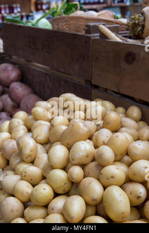 Une grande quantité de pommes de terre sur un étal de fruits et légumes légumes sur Borough Market à Londres. les fruits et légumes frais 5 24. Banque D'Images