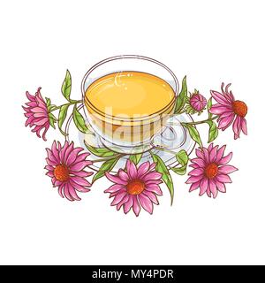 Tasse de thé échinacée illustration sur fond blanc Illustration de Vecteur