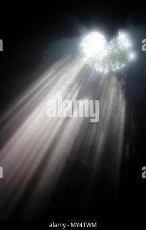 Lumière du soleil à travers la grotte grotte Jomblang trou à midi près de l'heure à Yogyakarta, Indonésie Banque D'Images