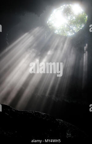 Lumière du soleil à travers la grotte grotte Jomblang trou à midi près de l'heure à Yogyakarta, Indonésie Banque D'Images