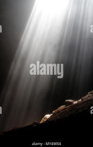 Lumière du soleil à travers la grotte grotte Jomblang trou à midi près de l'heure à Yogyakarta, Indonésie Banque D'Images