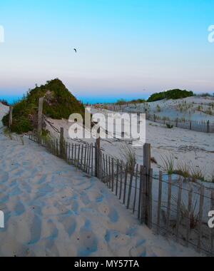 Dunes sur Long Beach Island Banque D'Images