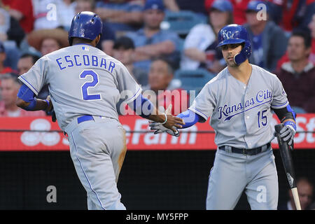 4 juin 2018 : l'arrêt-court des Royals de Kansas City, Alcides Escobar (2) reçoit cinq de Kansas City Royals le deuxième but Whit Merrifield (15) après avoir marqué un point dans le jeu entre les Royals de Kansas City et Los Angeles Angels of Anaheim, Angel Stadium d'Anaheim, CA, photographe : Peter Renner and Co Banque D'Images