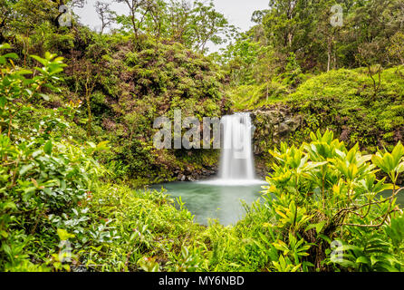 Puaa Kaa Falls à Maui, Hawaii Banque D'Images