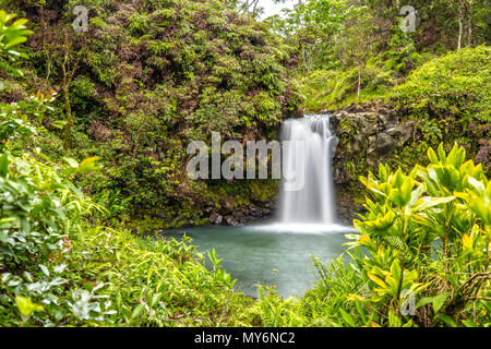 Puaa Kaa Falls à Maui, Hawaii Banque D'Images