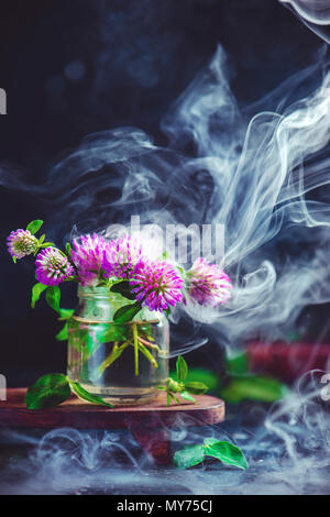 Fleurs de trèfle dans un bocal en verre avec l'augmentation de la fumée. Concept d'été magique sur un fond sombre avec copie espace Banque D'Images