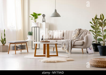 Photo réelle d'un canapé beige avec un coussin et une couverture, debout devant une table et sous une lampe dans un salon intérieur avec des plantes et decora Banque D'Images