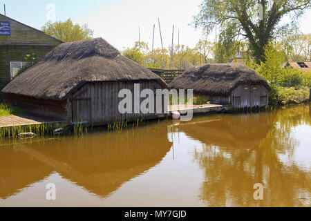 Serres de chaume sur Hickling Broads, sur les Norfolk Broads, Angleterre, Royaume-Uni Banque D'Images