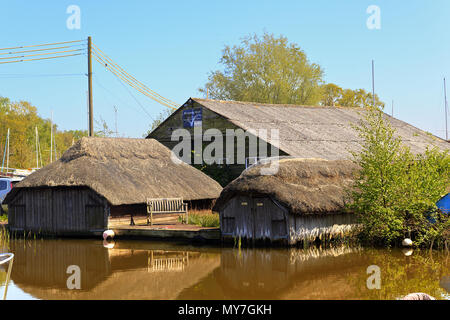 Serres de chaume sur Hickling Broads, sur les Norfolk Broads, Angleterre, Royaume-Uni Banque D'Images