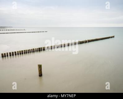 Structure en bois ancien épi couvert d'algues vertes sur la plage à marée basse avec la mer du Nord Banque D'Images