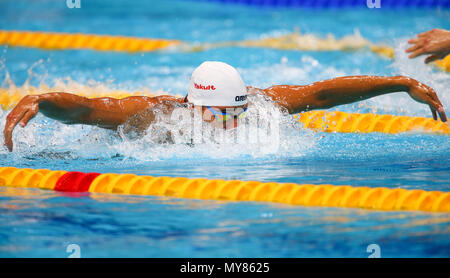 BUDAPEST, HONGRIE - 25 juillet : Chad le Clos d'Afrique du Sud, à la chauffe de la mens 200m papillon lors de la 12 journée du monde de la FINA à Duna Arena le 25 juillet 2017 à Budapest, Hongrie. (Photo de Roger/Sedres ImageSA/Gallo Images) Banque D'Images