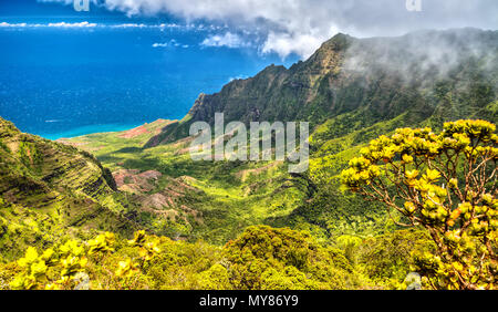 Vue panoramique sur Kalalau Valley, Kauai, Hawaii Banque D'Images