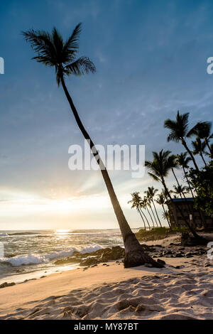 Coucher du soleil à Honls Beach à Big Island Banque D'Images