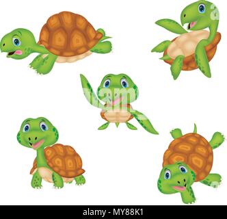 Dessin de tortue collection Illustration de Vecteur