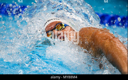 BUDAPEST, HONGRIE - 26 juillet : Dominik Kozma de Hongrie dans la chauffe de la mens 100m nage libre lors de la 13e journée du Championnat du Monde de la FINA à Duna Arena le 26 juillet 2017 à Budapest, Hongrie. (Photo de Roger/Sedres ImageSA/Gallo Images) Banque D'Images