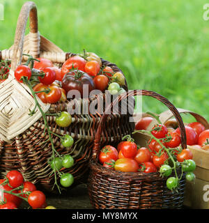 Heirloom variété dans les paniers de tomates tomate de couleur - rouge, jaune, orange. Conception de cuisine Légumes Récolte Banque D'Images