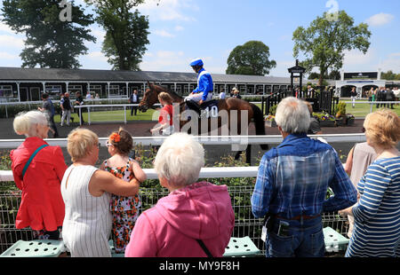 Les amateurs de course regarder les chevaux dans la parade à Uttoxeter Racecourse. Banque D'Images