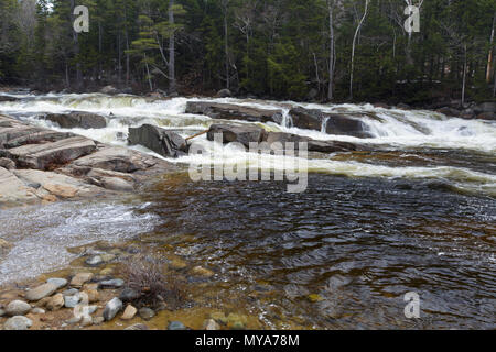 Lower Falls sur la rivière Swift à Albany, New Hampshire USA pendant les mois de printemps. Ces chutes sont situées le long de l'autoroute Kancamagus (route 112) Banque D'Images