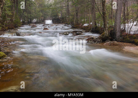 Le bébé sur le canal de la rivière Pemigewasset dans Franconia Notch State Park de Lincoln, New Hampshire pendant les mois de printemps. Cet élément naturel est loc Banque D'Images