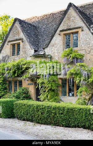 Glycine japonaise sur un chalet au printemps dans le village de Cotswold Notgrove. Notgrove Cotswolds, Gloucestershire, Angleterre Banque D'Images