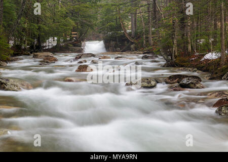 Le bébé sur le canal de la rivière Pemigewasset dans Franconia Notch State Park de Lincoln, New Hampshire pendant les mois de printemps. Banque D'Images