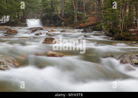 Le bébé sur le canal de la rivière Pemigewasset dans Franconia Notch State Park de Lincoln, New Hampshire un jour de printemps. Cet élément naturel est situé à un sh Banque D'Images