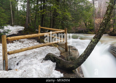 Le bébé sur le canal de la rivière Pemigewasset dans Franconia Notch State Park de Lincoln, New Hampshire pendant les mois de printemps. Banque D'Images